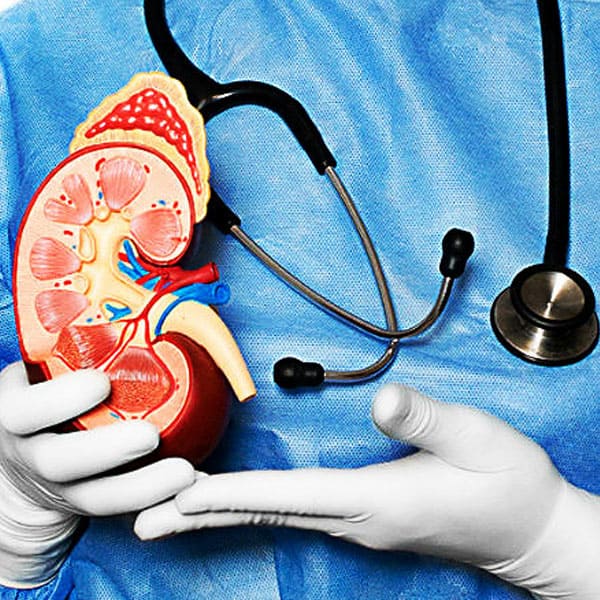 nefrologia intervesionista