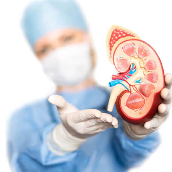 prevencion y tratamiento de la nefropatia diabetica