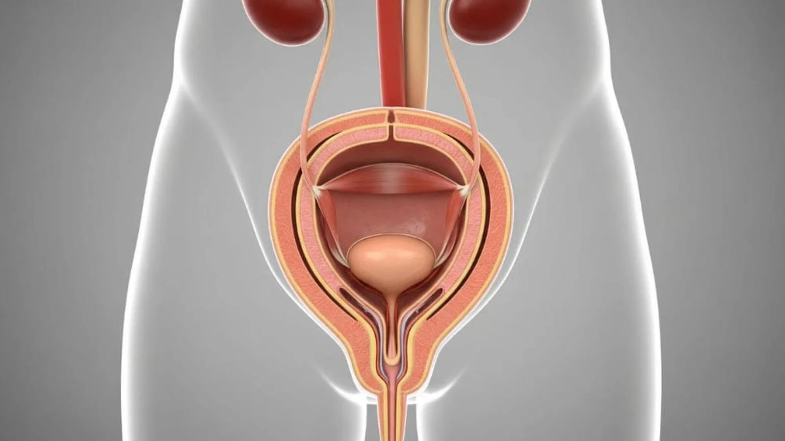 ¿Qué especialista trata el daño renal por medicamentos en CDMX?
