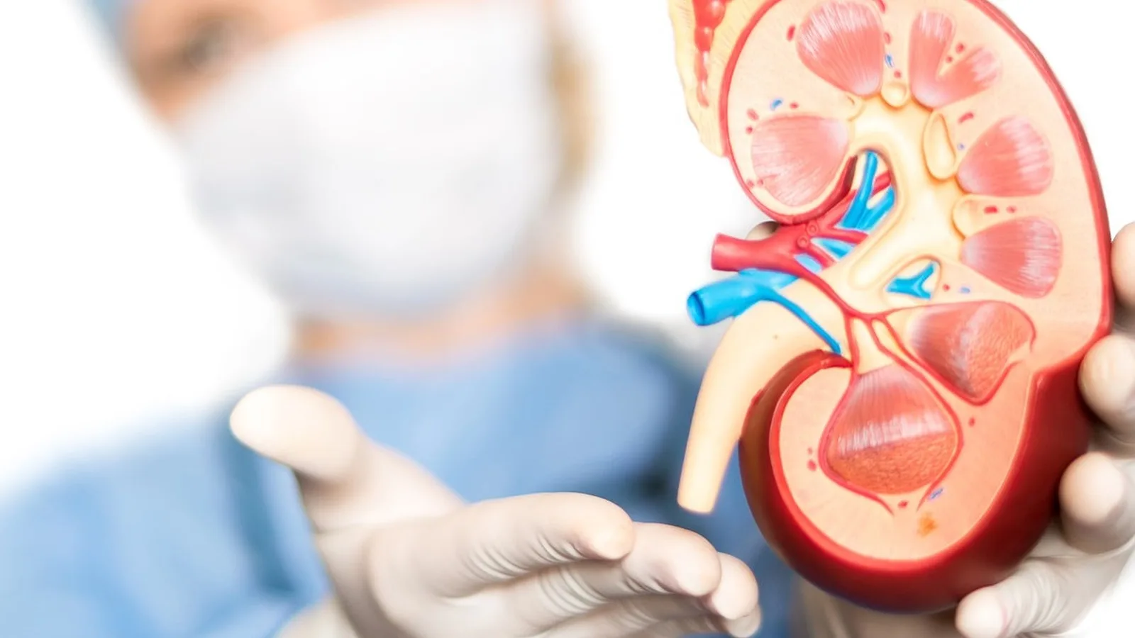 Especialista en Diagnóstico y Control de la Enfermedad Poliquística Renal en CDMX